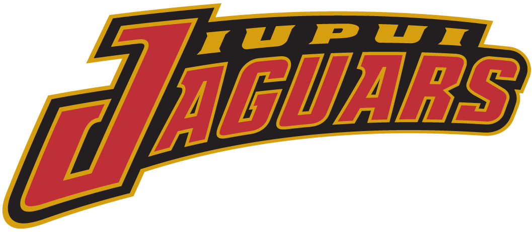 IUPUI Jaguars 2002-Pres Wordmark Logo diy DTF decal sticker